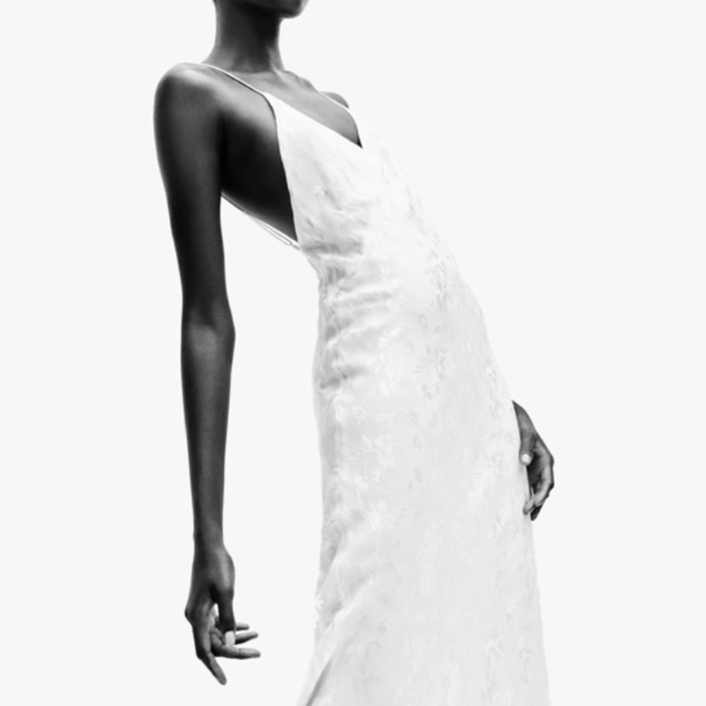 Zara maxi dress